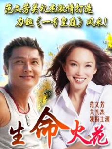 生命火花(新加坡)