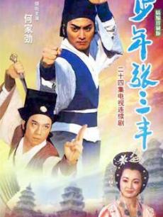少年张三丰(1991台湾何家劲版)