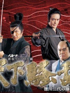 天下骚乱-德川三代的阴谋